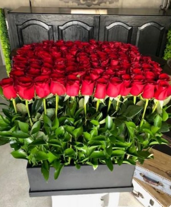 ROSAS001