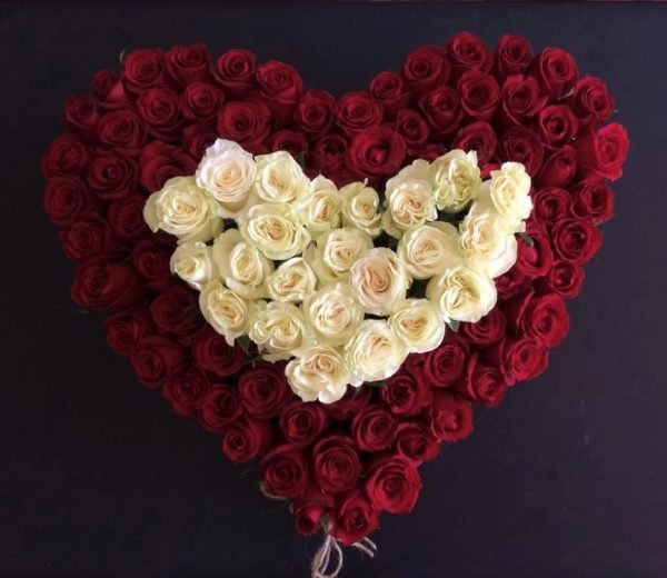AMOR200