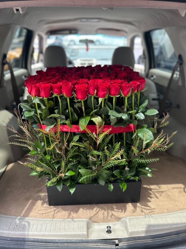 ROSAS001